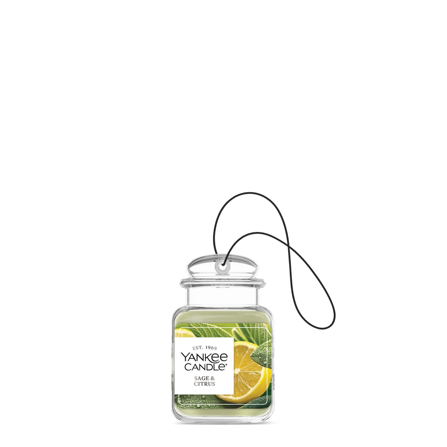 Sage & Citrus Studio 2-0854