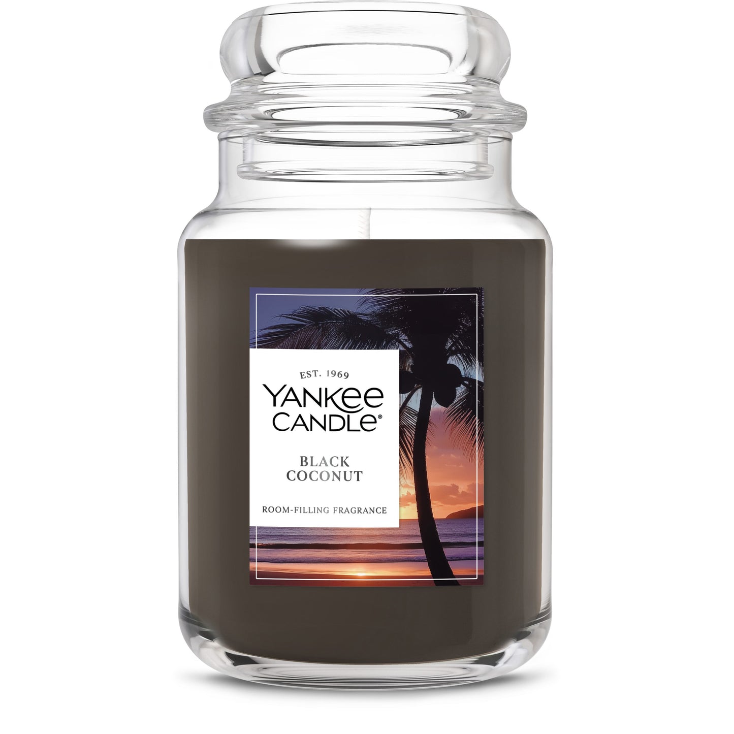 Black Coconut Daily 2-0916